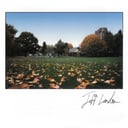 Col Summers Park by Jeff London