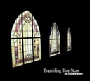 The Last Holy Writer by Trembling Blue Stars