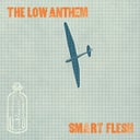 Smart Flesh by The Low Anthem