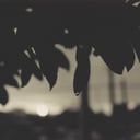 Tomorrow Is Again (Remastered) by The Relict