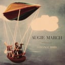 Strange Bird by Augie March