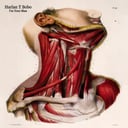 I'm Your Man by Harlan T. Bobo