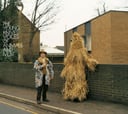Voices of Animals and Men by Young Knives
