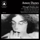 Through Donkey Jaw by Amen Dunes