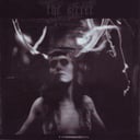 Disintoxication by The Secret