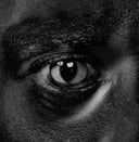 Evolve Or Be Extinct by Wiley
