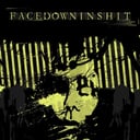 NPON (Nothing Positive Only Negative) by Facedowninshit