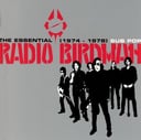 The Essential Radio Birdman (1974-1978) by Radio Birdman