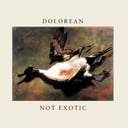 Not Exotic by Dolorean