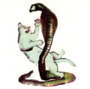 The Cat and the Cobra by Les Savy Fav