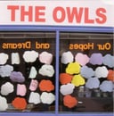 Our Hopes and Dreams by Owls