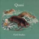 Field Studies by Quasi