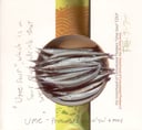Ume Sour by Sisterhood of Convoluted Thinkers