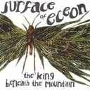 The King Beneath the Mountain by Surface of Eceon