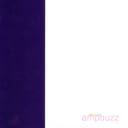 This Is My Ampbuzz by Ampbuzz